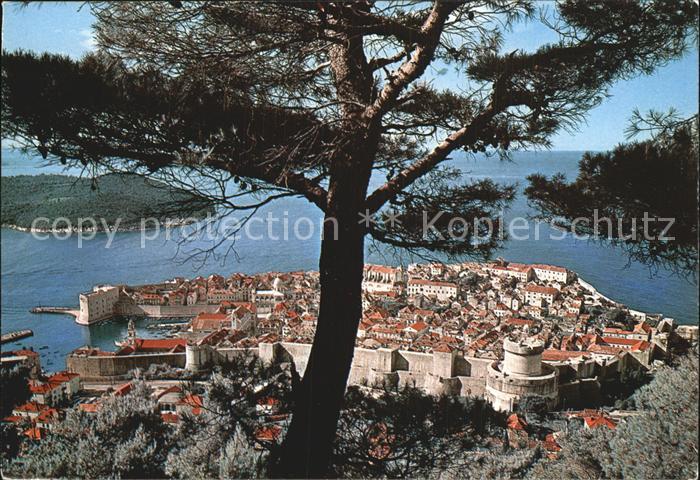Dubrovnik Ragusa Totalansicht