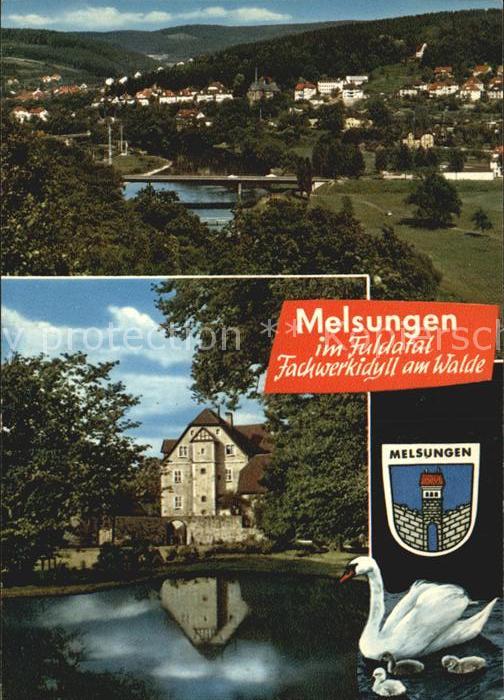 Melsungen Fulda Panorama Schloss Schwanenteich