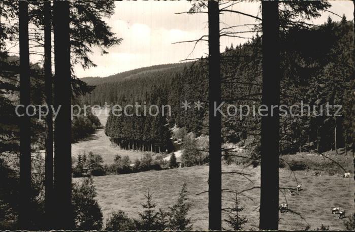 Willingen Sauerland Luftkurort Paradies