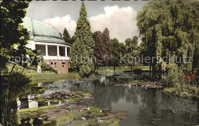 Bad Wildungen Seerosenteich Kurpark