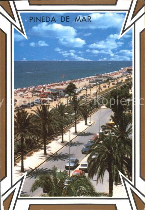 Pineda de Mar Strand Palmen
