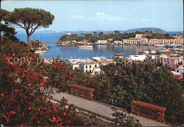 Ischia Isola Hafen Panorama