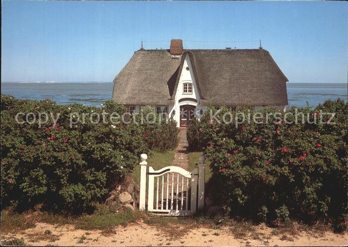 Morsum Sylt Sylt Haus Meer