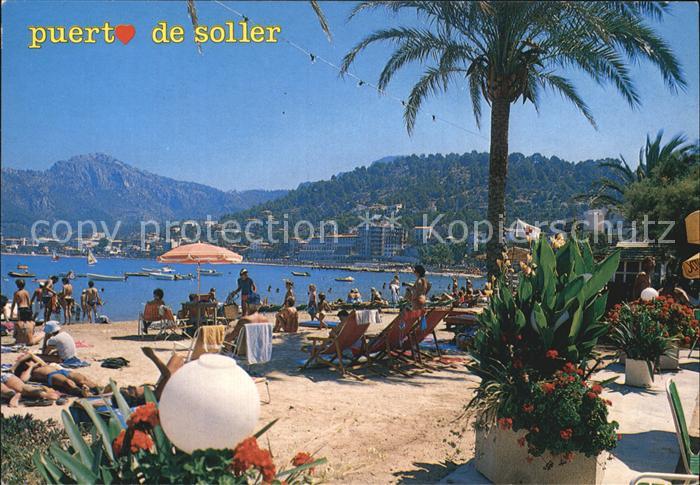 Puerto de Soller Mallorca Strand Meer Palmen