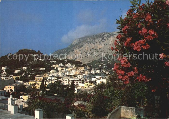 Capri Panorama