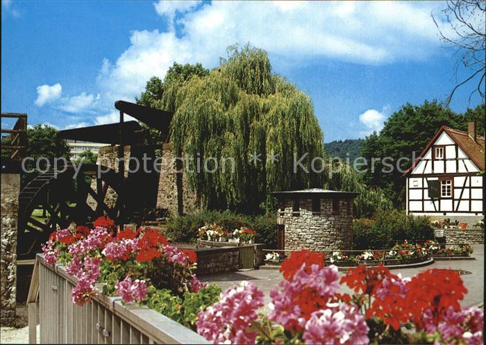 Nauheim Bad Ludwigsbrunnen