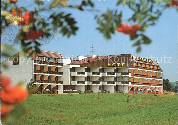 Pfronten Ostallgaeu Bayern Weissbach Parkhotel Flora Cafe Restaurant