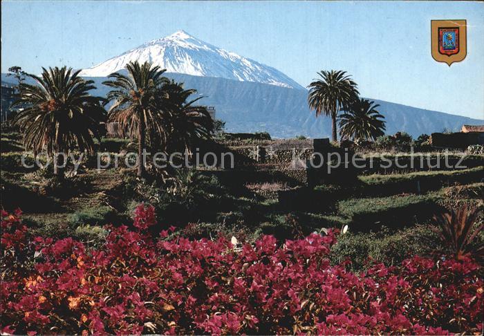 Santa Cruz de Tenerife