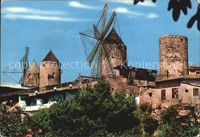 Mallorca Molinas del Jonquet