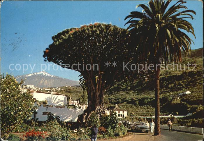 Icod de los Vinos Strassenpartie