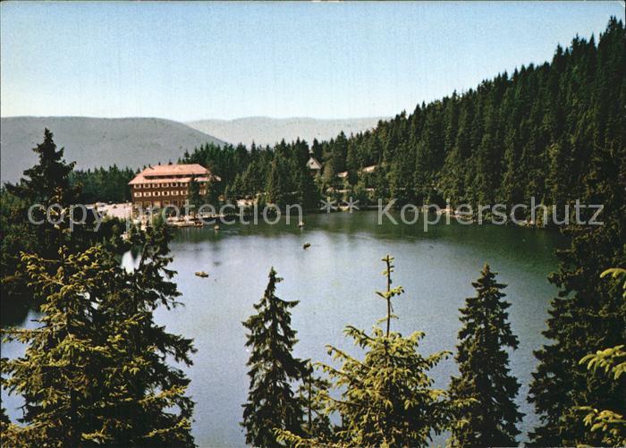 Mummelsee Berghotel am See