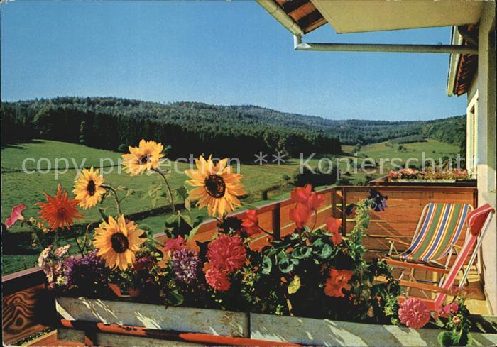 Unter-Mossau Pension Cafe Heubeck