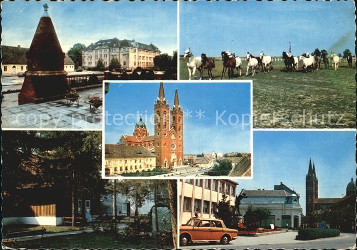 Ðakovo Kirche Pferde