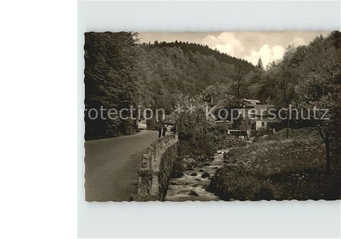 Trusetal Gasthof Pension zum Trusetaler Wasser