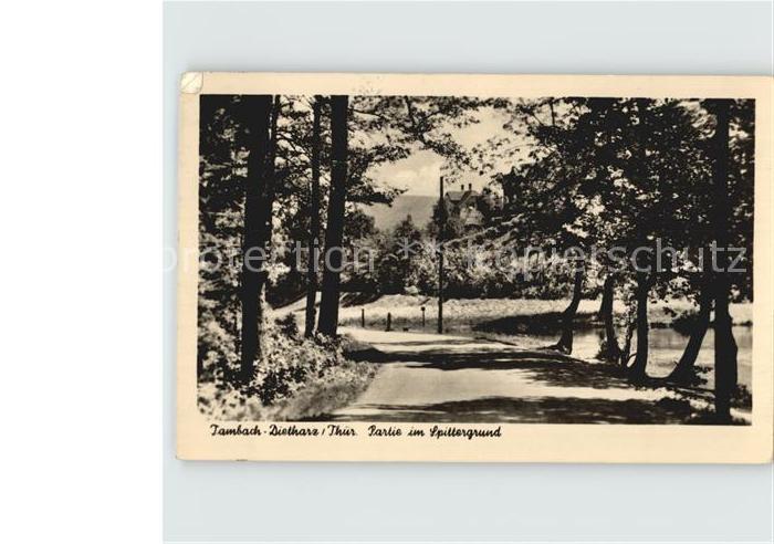 Tambach-Dietharz Partie im Spittergrund