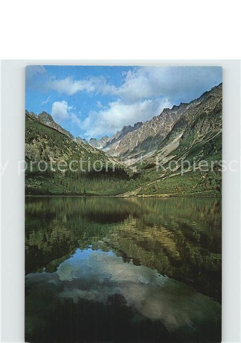 Vysoke Tatry Bergsee Popradske