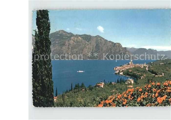 Garda Lago di Garda Malcesine