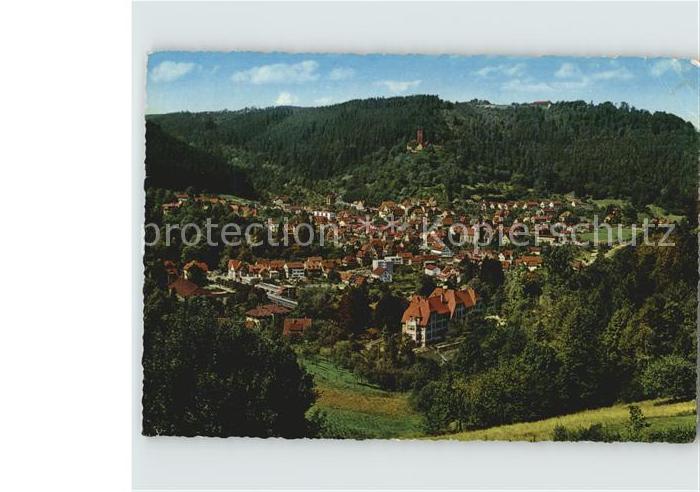 Bad Liebenzell Stadtansicht