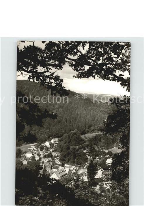 Treseburg Harz Stadtansicht