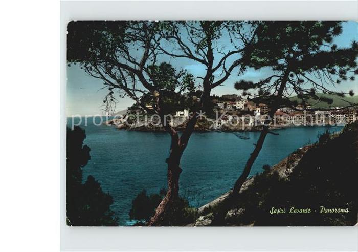 Sestri Levante Panorama
