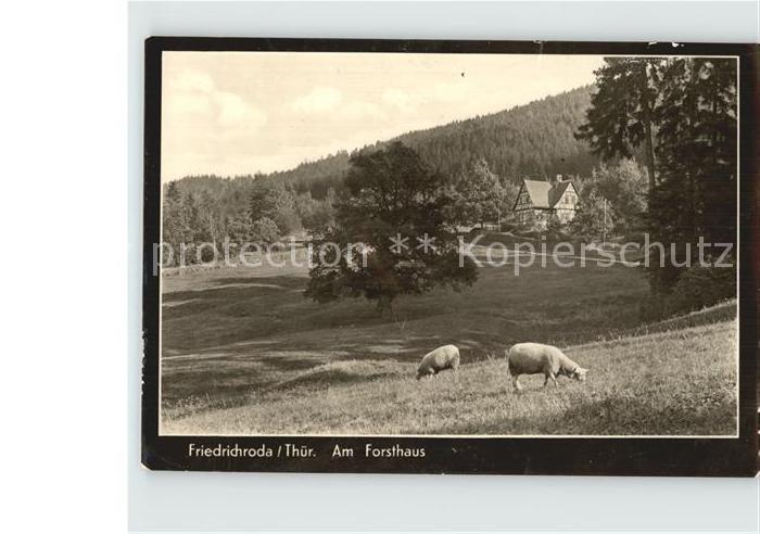 Friedrichroda Forsthaus