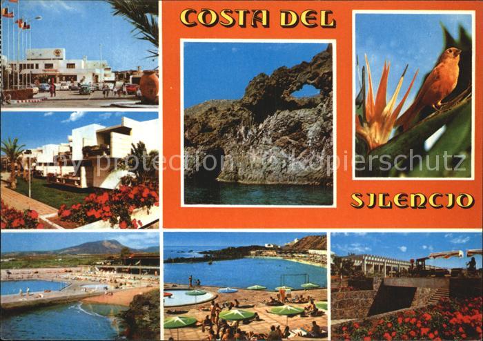 Tenerife Costa del Silencio Hotels Strand Bucht Felsen Vogel
