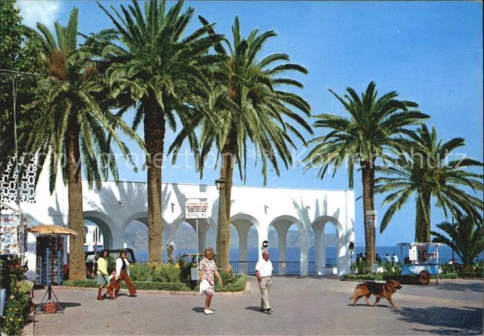 Nerja Costa del Sol Promenade Palmen