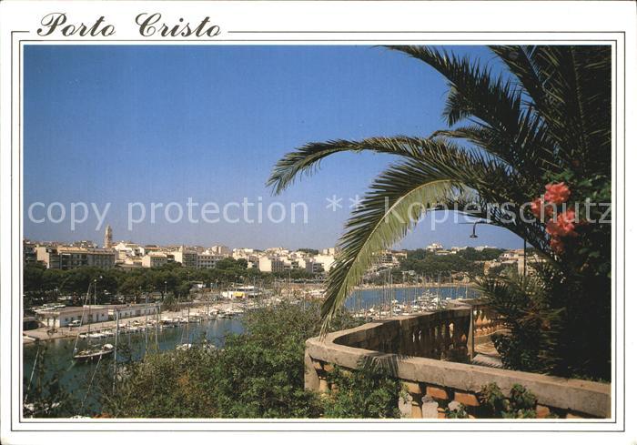 Porto Cristo Panorama Hafen Palmen