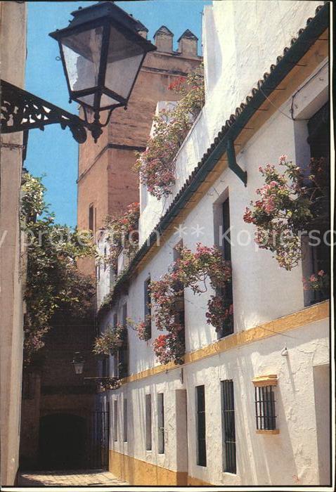 Sevilla Andalucia Calle tipica