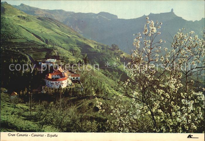 Tejeda Parador Nacional vista del Roque Nublo Touristenhotel Baumbluete Berge