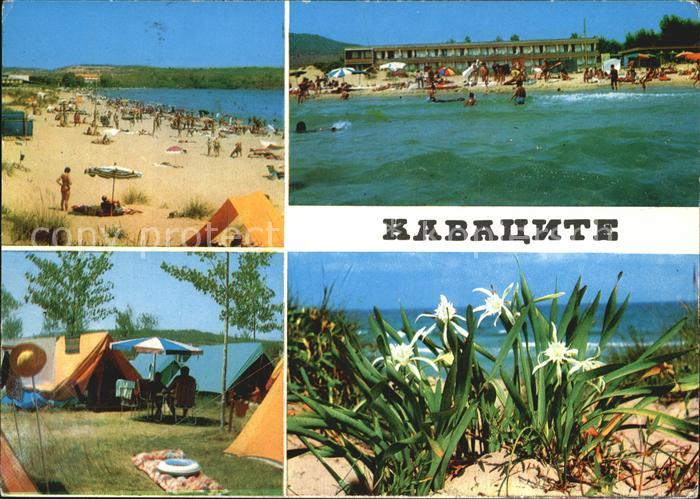 Kawazite Kavatzite Hotelanlage Strand Camping Pflanzen