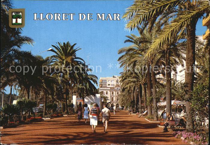 Lloret de Mar Paseo Promenade Palmen