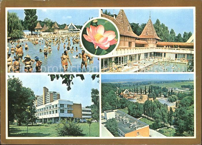 Baile Felix Strandul Piscine Apollo Hotel Nufarul