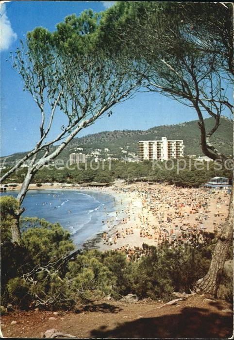 Paguera Mallorca Islas Baleares Panorama Strand Hotels