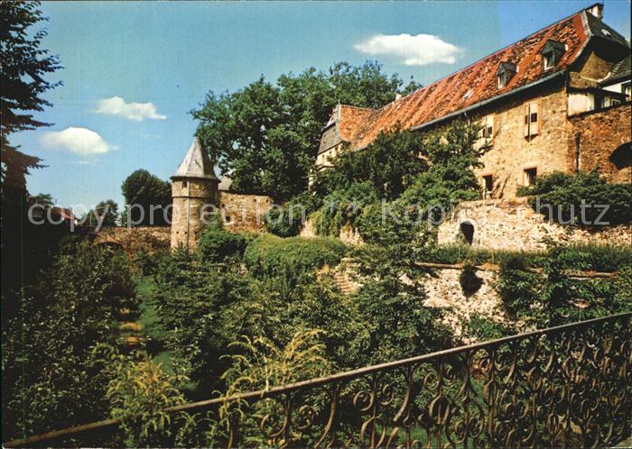 Friedberg Hessen Burg Suedseite mit Hirschgraben