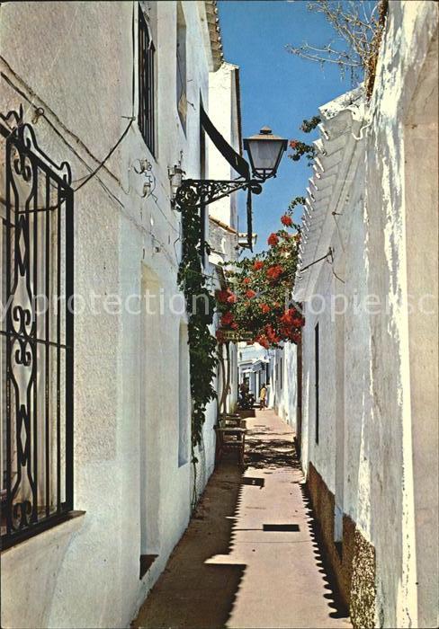 Marbella Andalucia Kleines Gaesschen