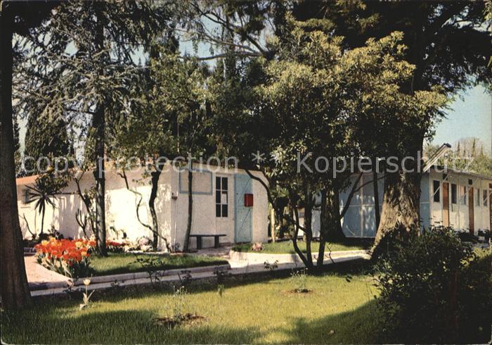 Antibes Alpes Maritimes Eukalyptus Quartier