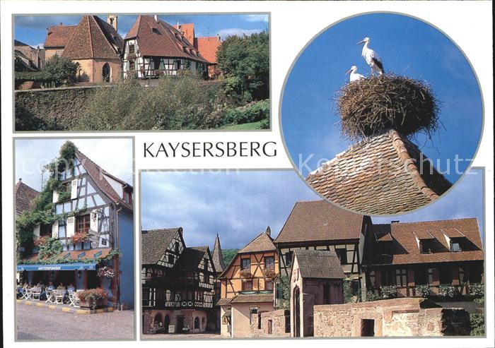 Kaysersberg Haut Rhin Altstadt Storchennest