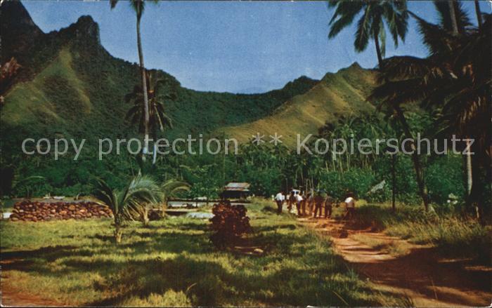 Moorea Polynesien Teilansicht