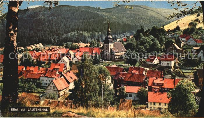 Lautenthal Harz Ortsblick