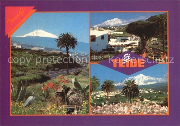 Tenerife El Teide Drago Milenario