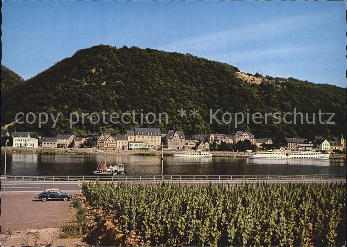 Brodenbach Moselpartie