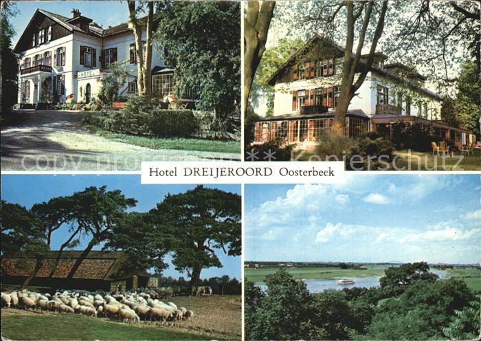 Oosterbeek Hotel Dreijeroord Gartenterrasse Schafherde See