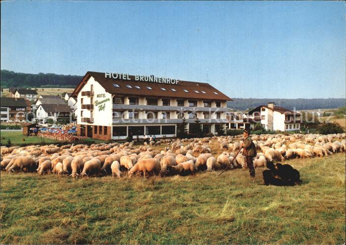 Weibersbrunn Hotel Brunnenhof Schafherde