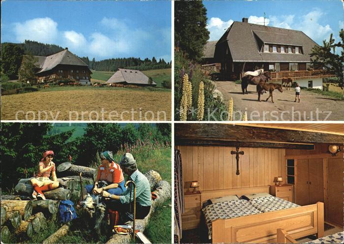 Hinterzarten Breisgau-Hochschwarzwald BW Island Pferdehof Islandponys Brotzeit G