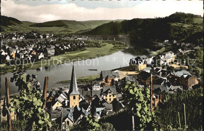 Bullay Mosel Moselpartie