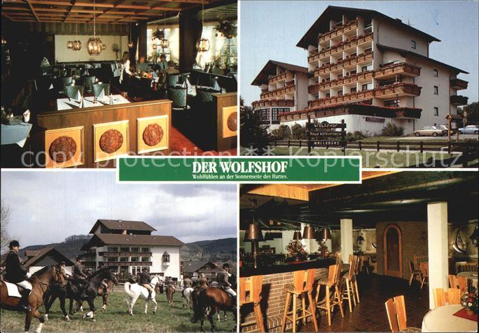 Wolfshagen Harz Der Wolfshof Hotel