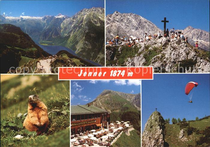 Jenner Berchtesgaden Bergkreuz Murmeltier