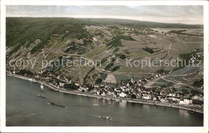 Assmannshausen Fliegeraufnahme Rheinpartie