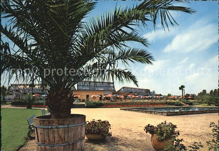 DORTMUND  CITY Rombergpark mit Cafe Orchidee